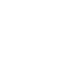 ALV