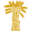 FMNB