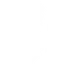 RACE